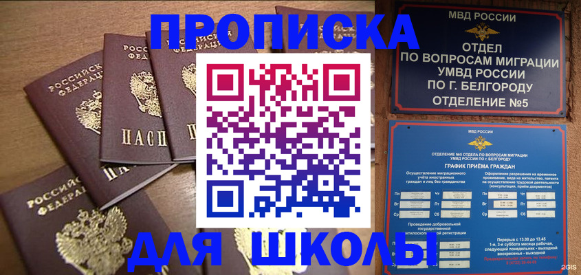 прописка гарантия в Камчатской области